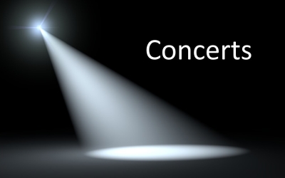 go to the festival concerts